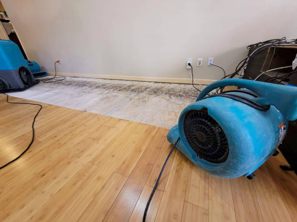 Professional Sewage Cleanup technician working in Claremont, NC